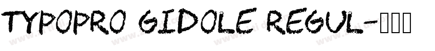 TypoPRO Gidole Regul字体转换